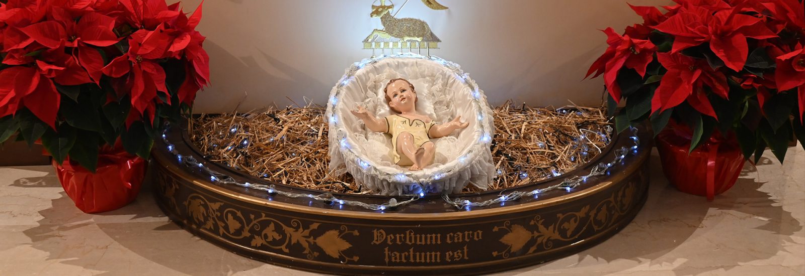 banner sito Natale a